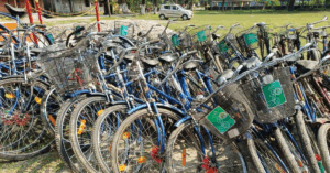 Nabanna orders strict action over unused Sabooj Sathi cycles