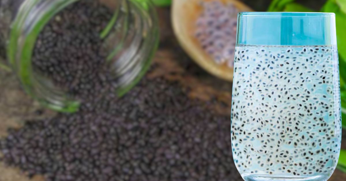 Health Tips know the correct way to eat basil seeds and you will be protected from many diseases