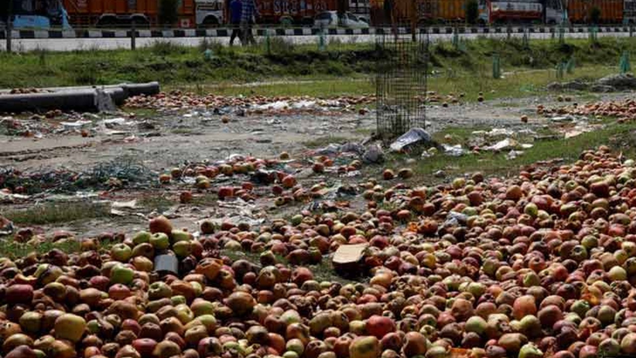 Apple's worth Crores rot in Jammu and Kashmir.