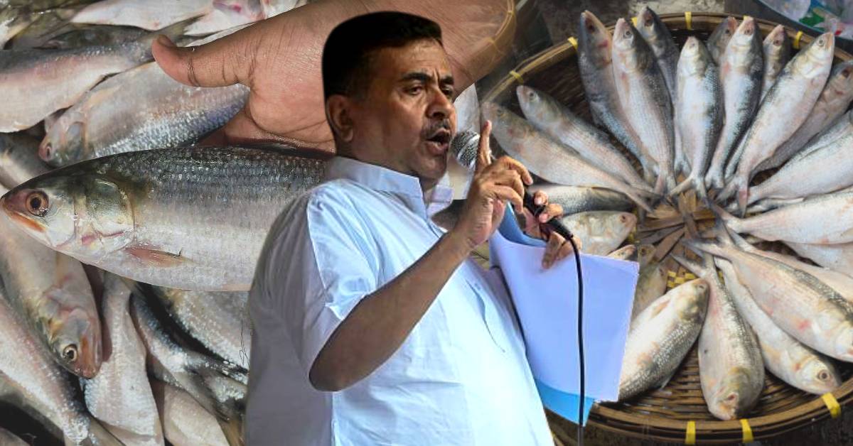suvendu adhikari hilsa fish