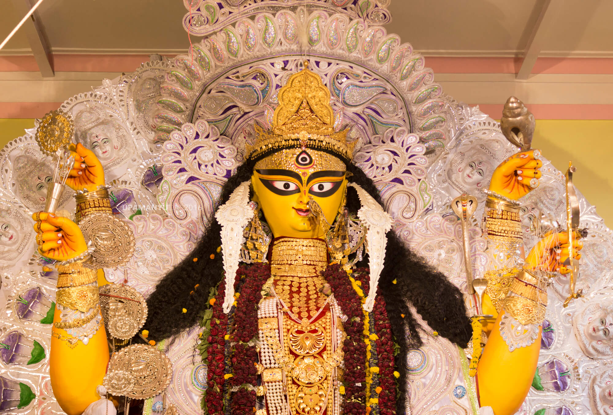 Kolkata years old jagaddhatri puja 2025