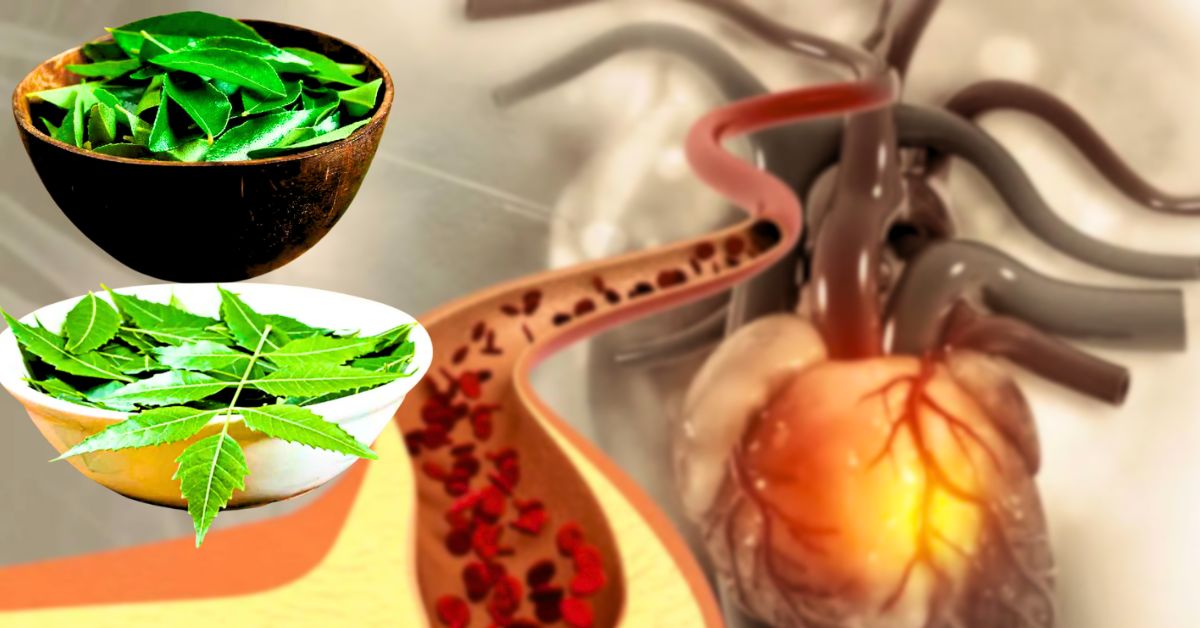 Health chewing 5 effective leaves to reduce cholesterol nutritionists opinion