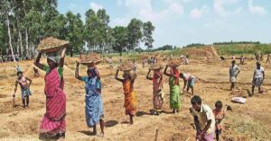 Calcutta High Court 100 days work