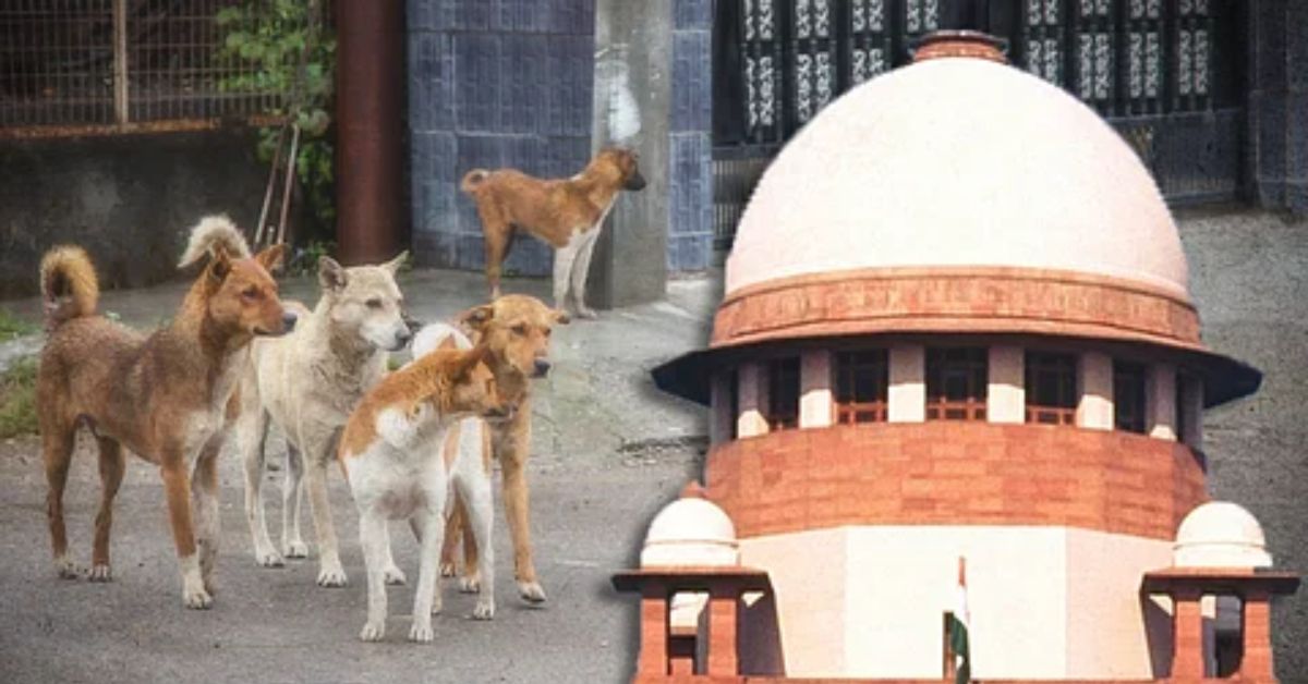 Supreme Court except West Bengal and Telangana all Chief Secretaries ordered to appear in Pathkukur Kolay
