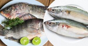 Health horrifying information from doctors about dangerous chemicals mixed in familiar fish