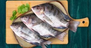 Health horrifying information from doctors about dangerous chemicals mixed in familiar fish