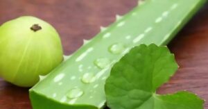 Hair Care use aloe vera-amalaki regularly to strengthen hair