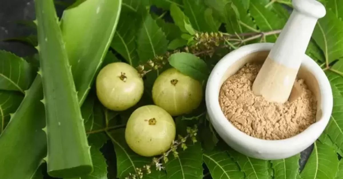 Hair Care use aloe vera-amalaki regularly to strengthen hair