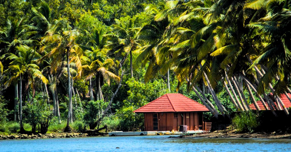 Kerala in winter visit these places with your loved ones