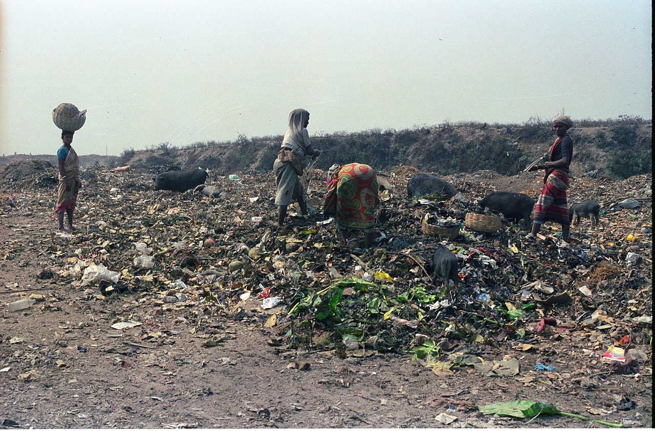 Kolkata municipal corporation planning to start new dumping ground 