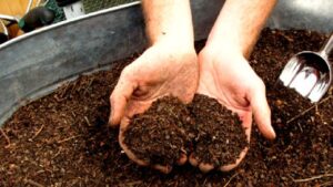 Bipin Rathore's Success Story will amaze you.