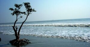 Travel even if you can't go to North Bengal due to landslides visit these 3 places