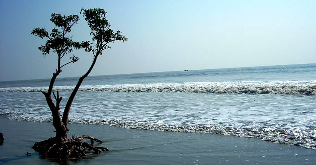 Travel even if you can't go to North Bengal due to landslides visit these 3 places