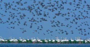 Travel these three lakes in the lap of nature