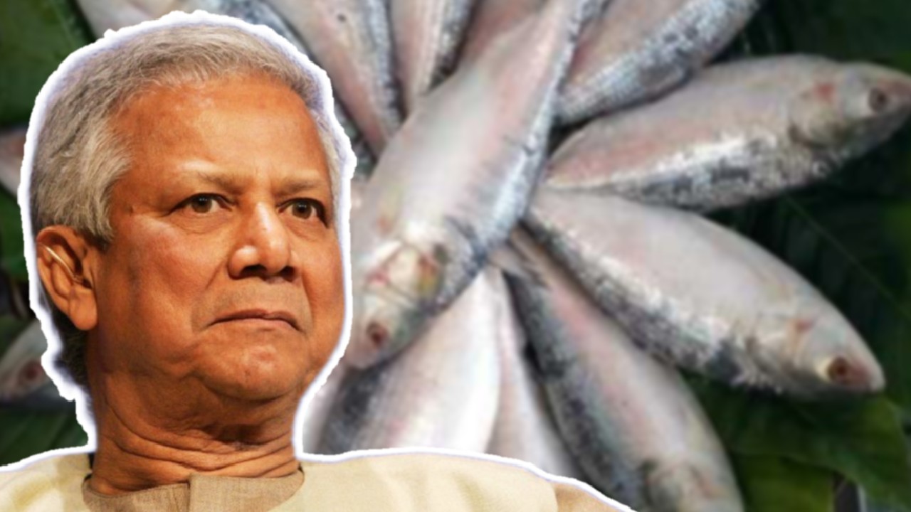 Bangladesh takes big step to save Hilsa Fish.