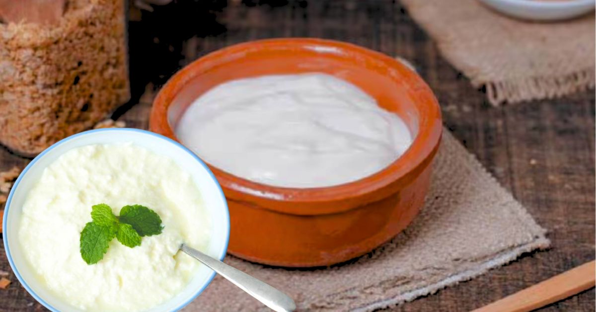 Health yogurt after rice nutritionists' detailed opinions on health and nutrition
