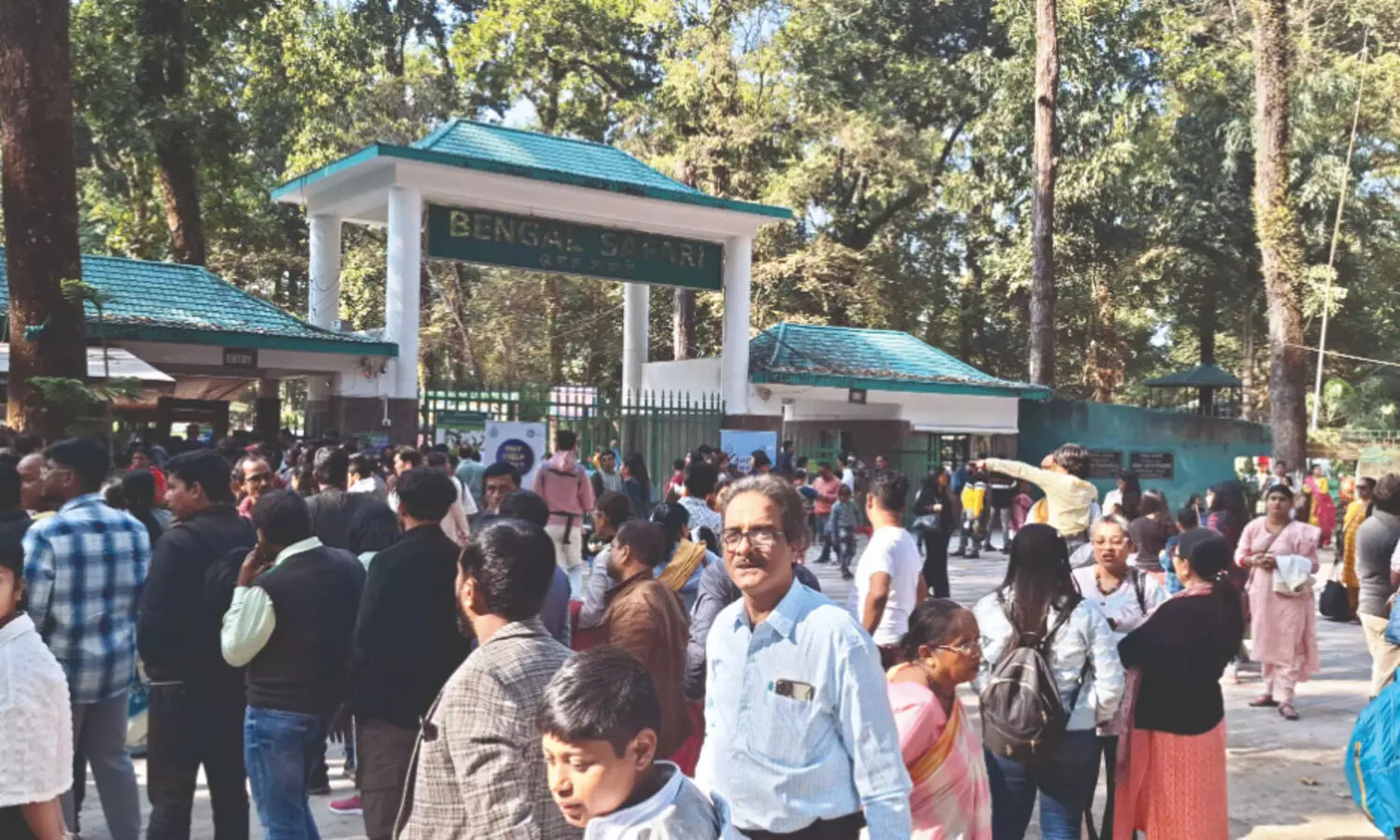 New lion safari to start soon in siliguri bengal safari park