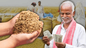 West Bengal Govt Hikes Paddy MSP Rate Under Farmers Scheme