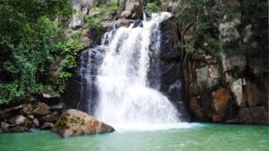 Odisha don't miss these two offbeat destinations while visiting Daringbari