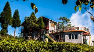  Darjeeling peaceful beautiful Mahaldiram is the answer