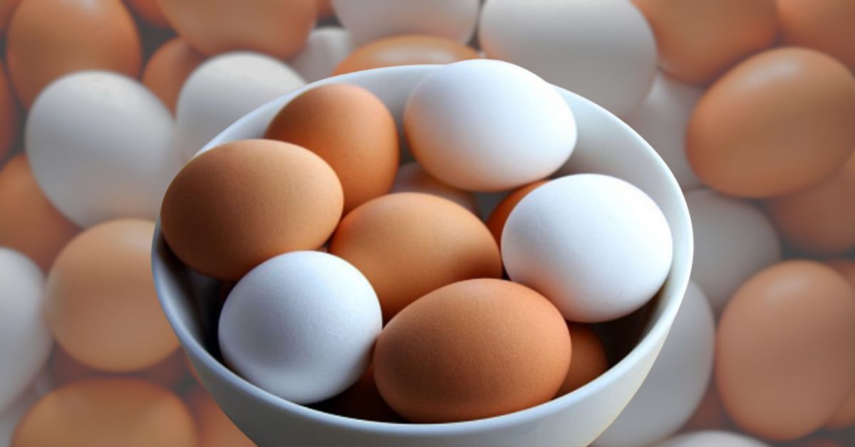 Health white or brown eggs which is more beneficial