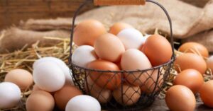 Health white or brown eggs which is more beneficial 