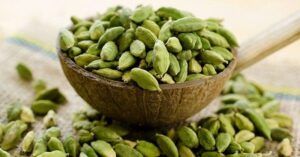  Health the magic of big cardamom will relieve gas and heartburn
