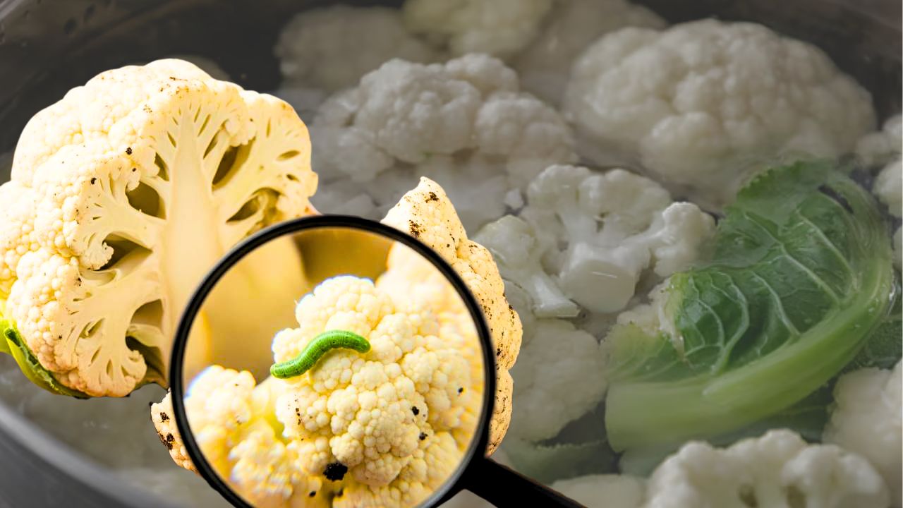 Cleaning Tips get rid of cauliflower pests with a simple trick