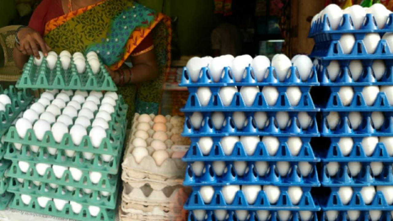 Egg price hike in the beginning of winter
