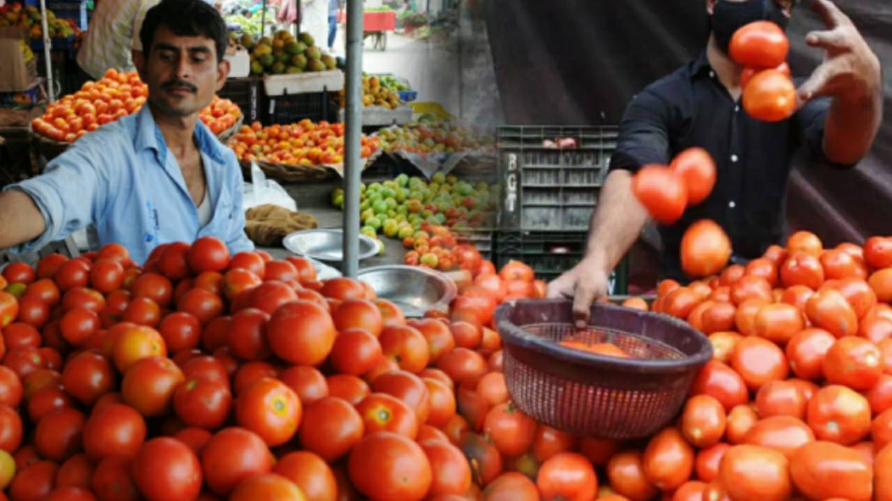 Tomato price hike in starting of winter 