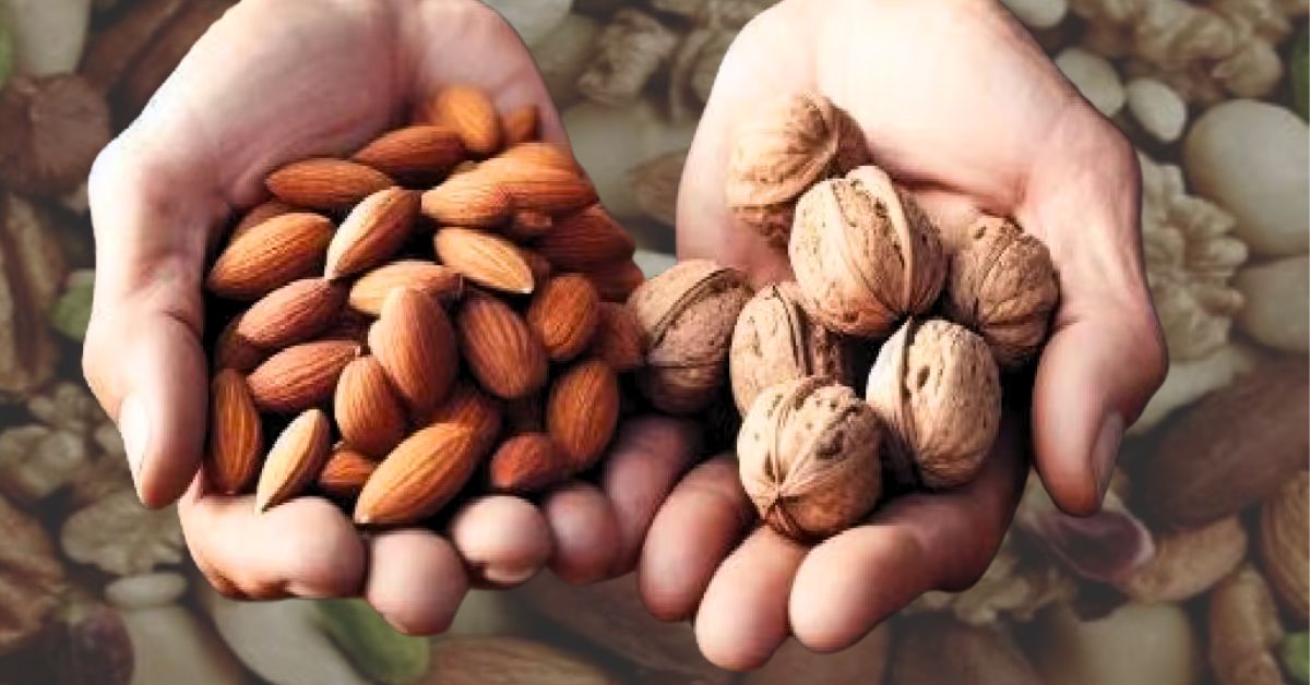 Health the magic of almonds will relieve fatigue in winter find out which one is the best