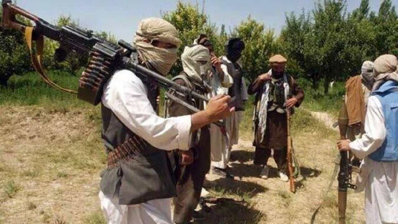 Pakistan removed 72 terror launchpads.