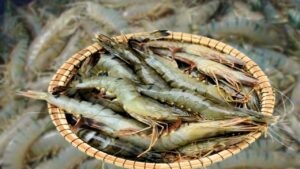 Recipe for a unique filling made with the magic of shrimp and lentils