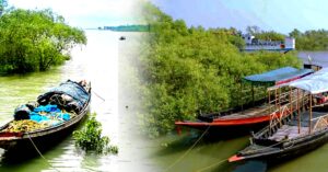 Sundarban reach the shores of Matla in 3 hours your mind will be filled with peace