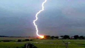 South Bengal Tal Plantation Drive