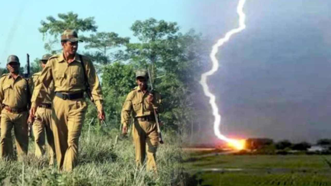 South Bengal Tal Plantation Drive