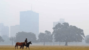 South Bengal Weather Update 12th November 2025