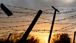 Calcutta High Court asks Bengal to file affidavit on border fencing