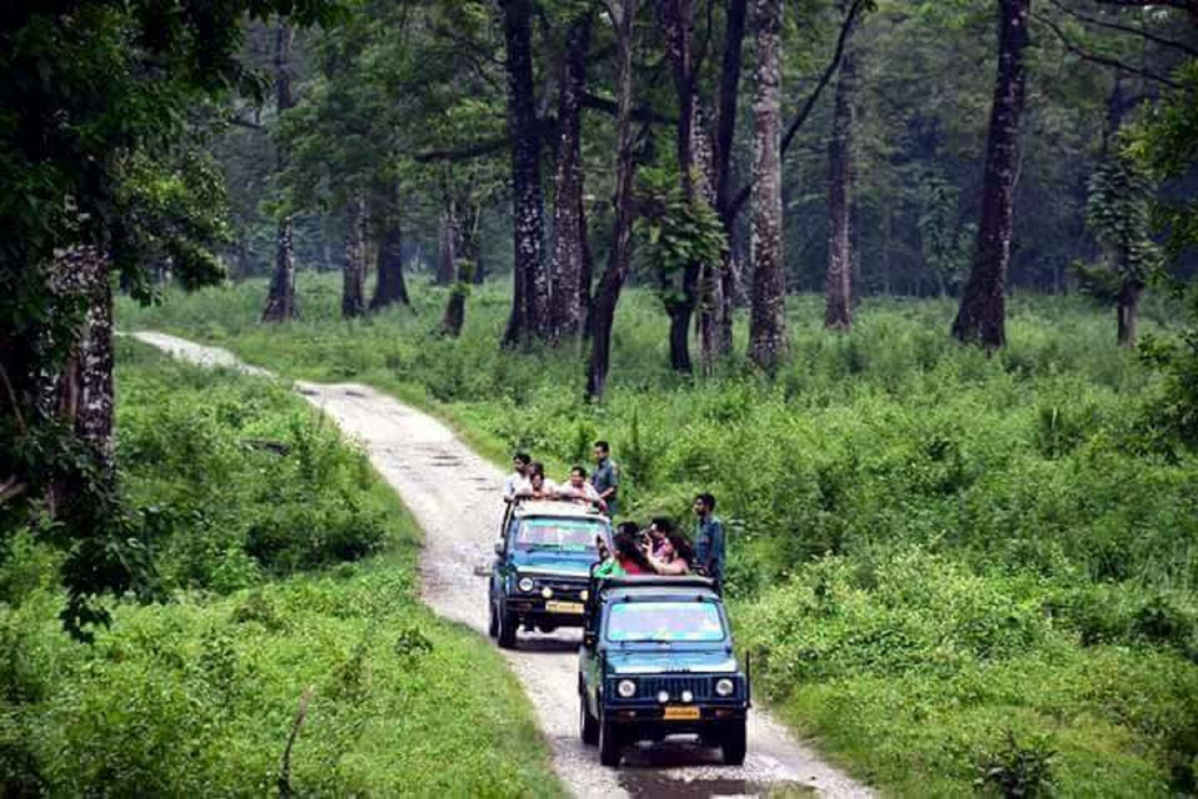 Special bus service started from Kolkata to bhutan border 