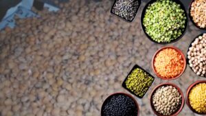 Cooking Hacks follow these 3 tips to keep pulses pest free