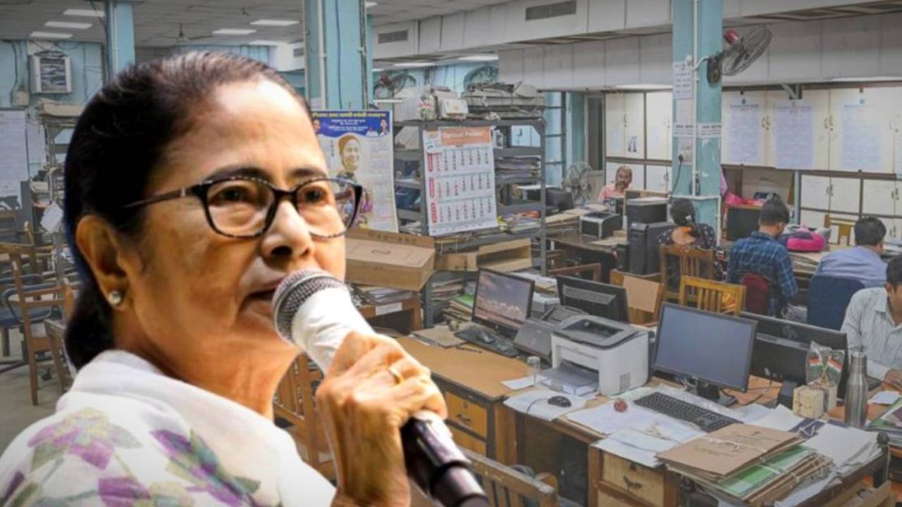 government employees(17)