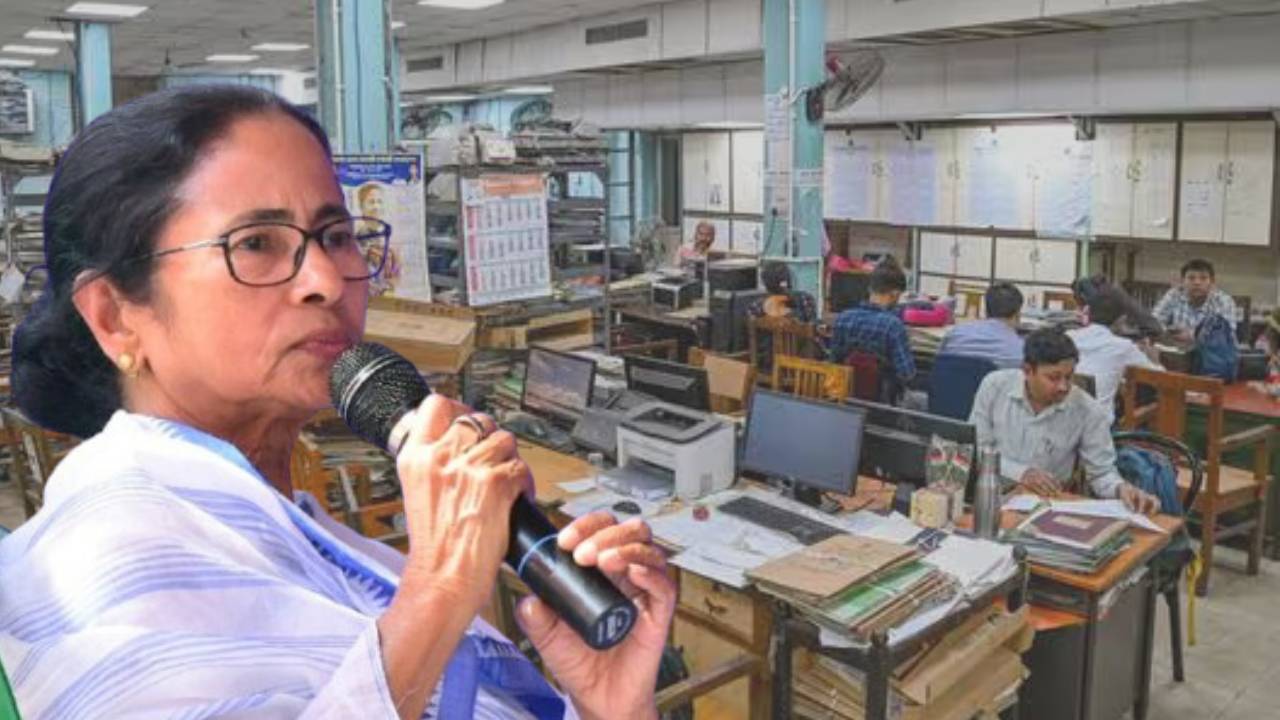 government holiday(10)