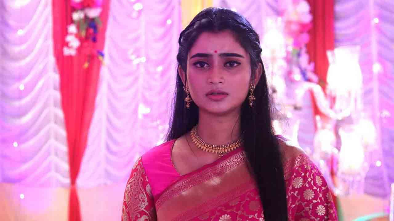 Will jagadhatri serial end despite of high trp