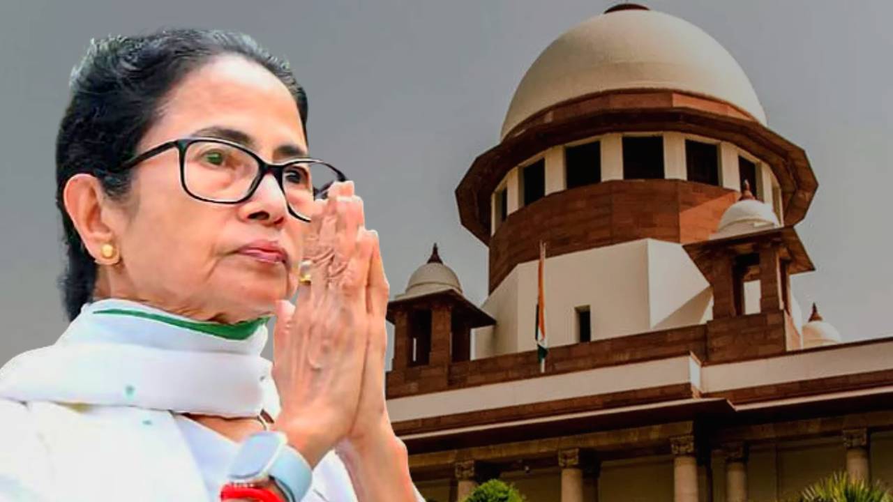 obc certificate case(1)