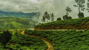 Darjeeling peace, clouds, and mountains Pokharidhura the new destination