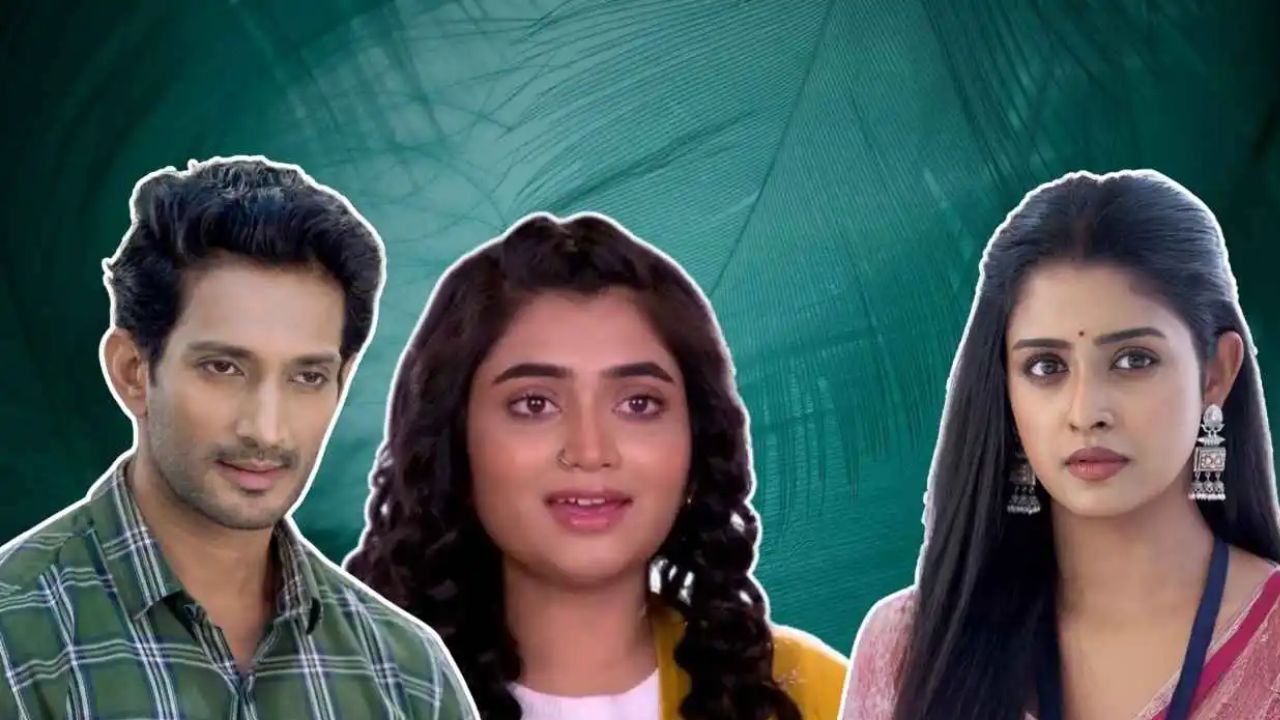 Trp list of December last zee bangla star jalsha 