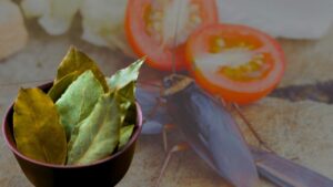 Kitchen Cleaning cockroach problem don't worry you will get relief with this home remedy
