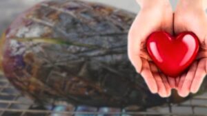 Health eating roasted eggplant will bring amazing health benefits