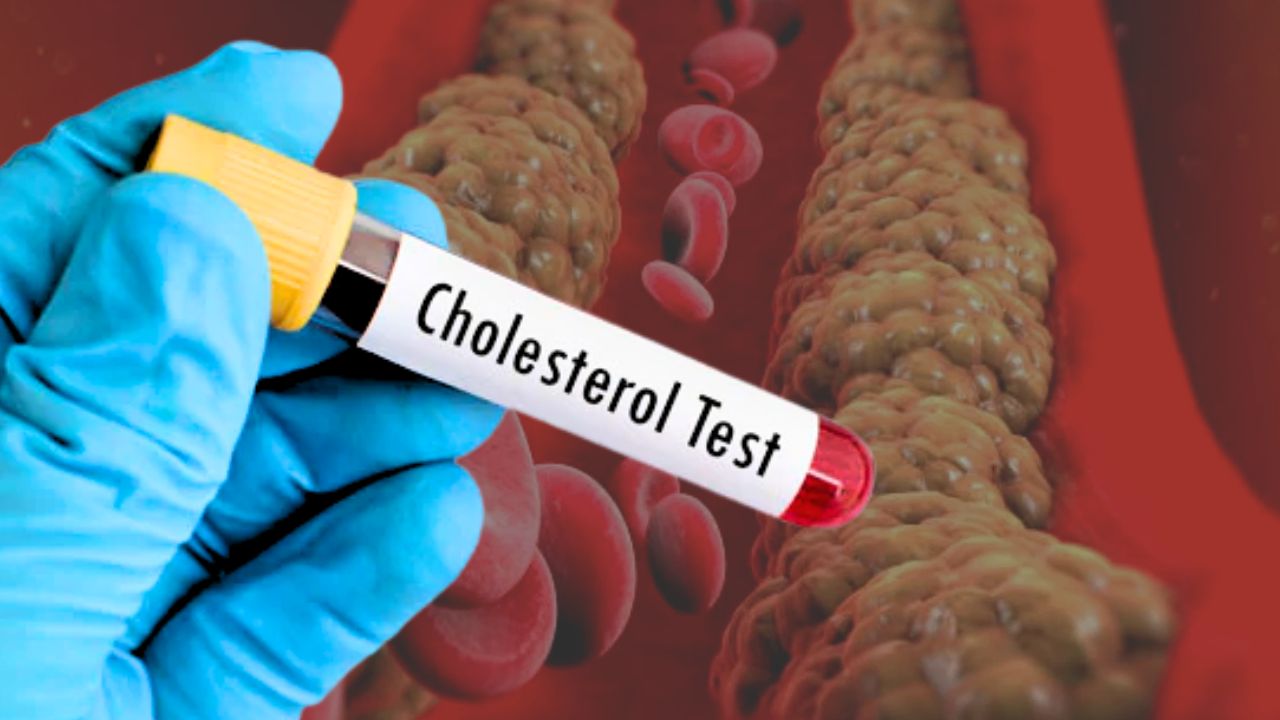 Health your body cholesterol increasing follow these health tips to stay healthy during winter