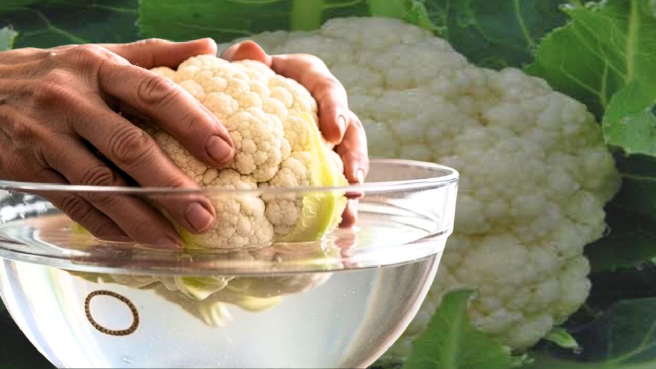 Cleaning Tips follow these small tips before cooking cauliflower it will enhance its taste